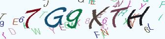验证码
